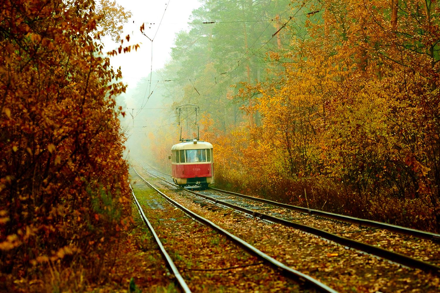 autumn-kyiv-tram-ukraine-5
