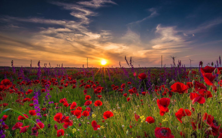 Take another look about the beauty of Ukraine