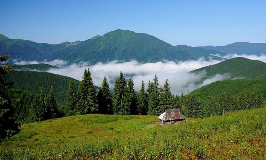 trip to Ukraine