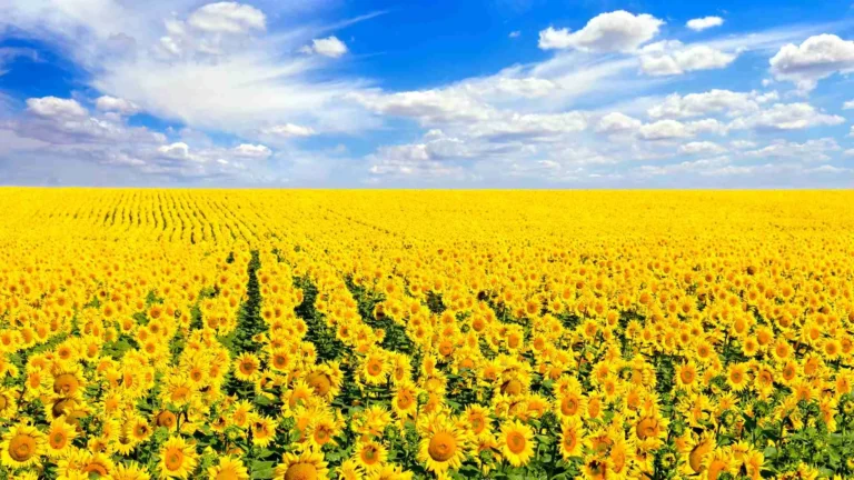 Ukraine Tours Packages